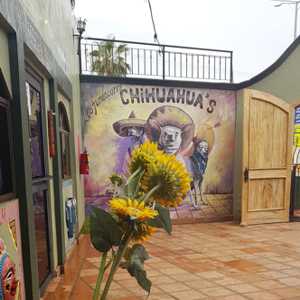 Chihuahua entrance